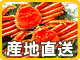 �Y���R�[�i�[