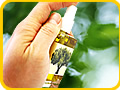 420004_s.jpg