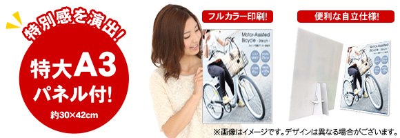 目録・特大A3パネル付き】26インチ電動アシスト自転車