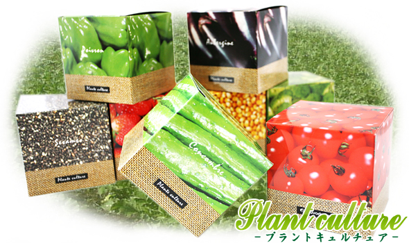 Off 野菜栽培キット プラントキュルチュア 景品ゲットクラブ