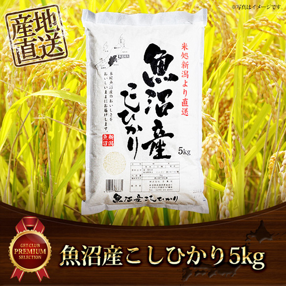 魚沼産こしひかり
