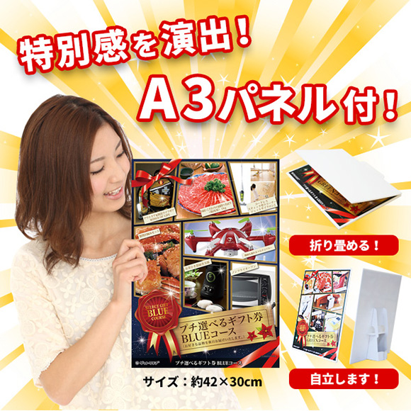 プチ選べるギフト券　Ａ3パネル