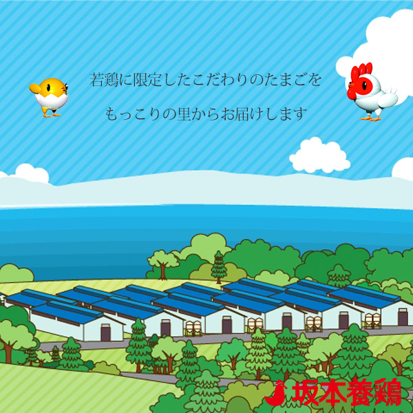 津軽から新鮮直送 きみちゃんのもっこりたまご紅白72個