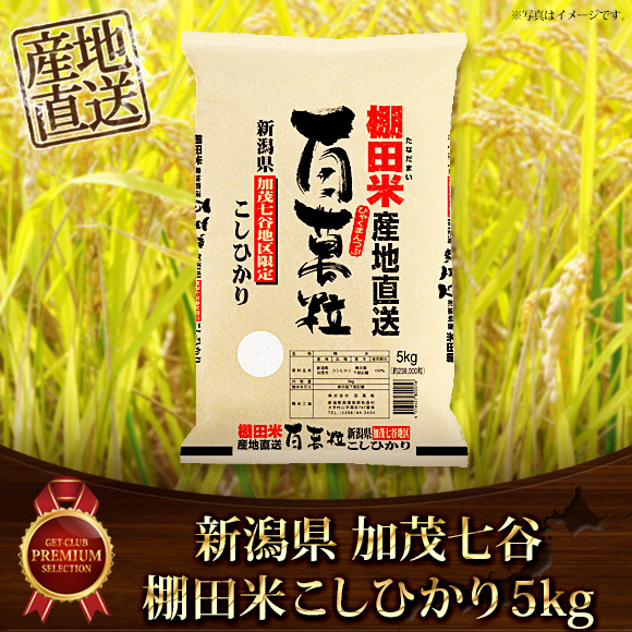 新潟加茂七谷棚田米こしひかり5ｋｇ
