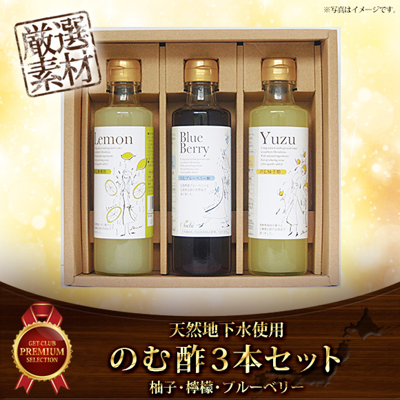 天然地下水使用のむ酢3本セット（柚子・檸檬・ブルーベリー）【目録引換券】