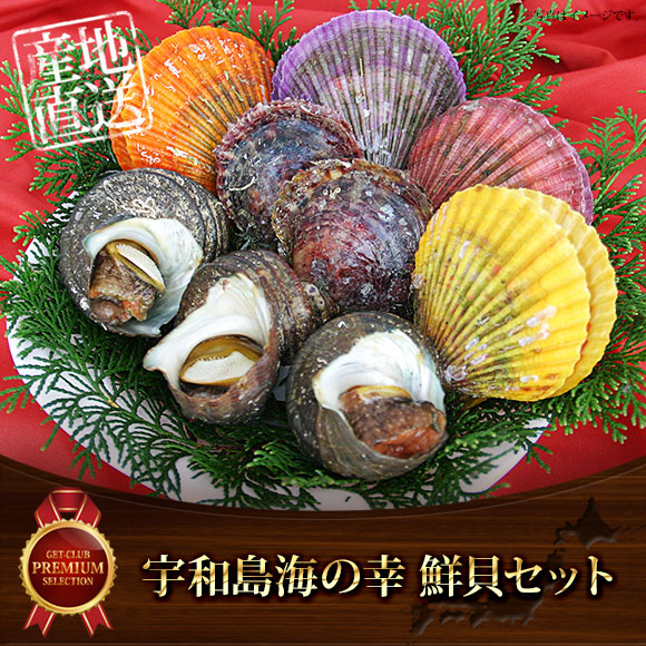 宇和島海の幸　鮮貝セット