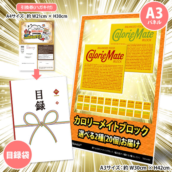 選べるカロリーメイトブロック 2種お届け（3種から2種セレクト）【目録引換券・A3パネル付き】
