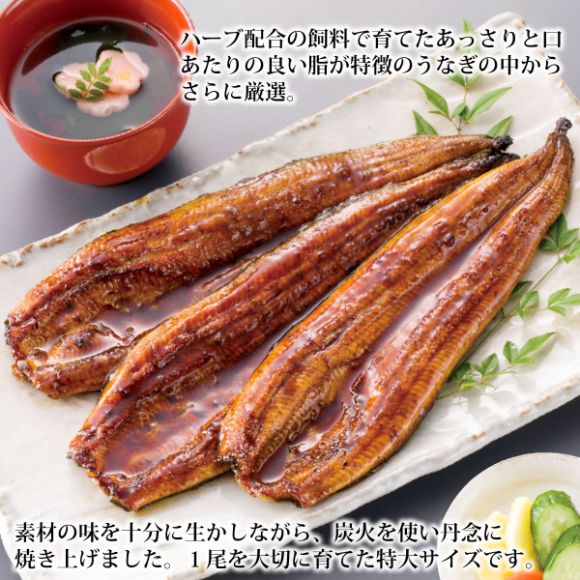 鰻楽 宮崎県産ハーブうなぎ蒲焼特大5尾【目録引換券】