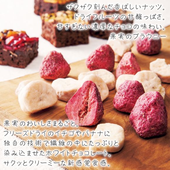 ホシフルーツ 果実とショコラ １１個【目録引換券】