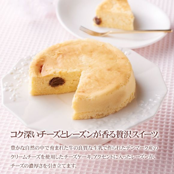 ホシフルーツ 大人のチーズケーキ【目録引換券】