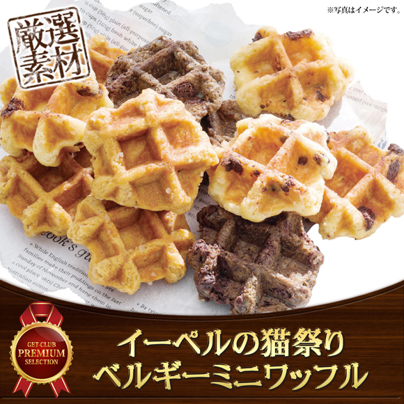 イーペルの猫祭り ベルギーミニワッフル