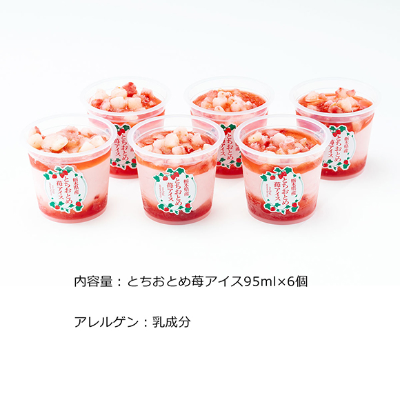 栃木県産とちおとめ苺アイス 6個セット
