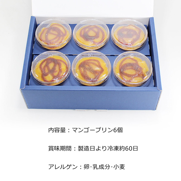 東京・小金井 TERAKOYA監修 濃厚マンゴープリン 6個セット