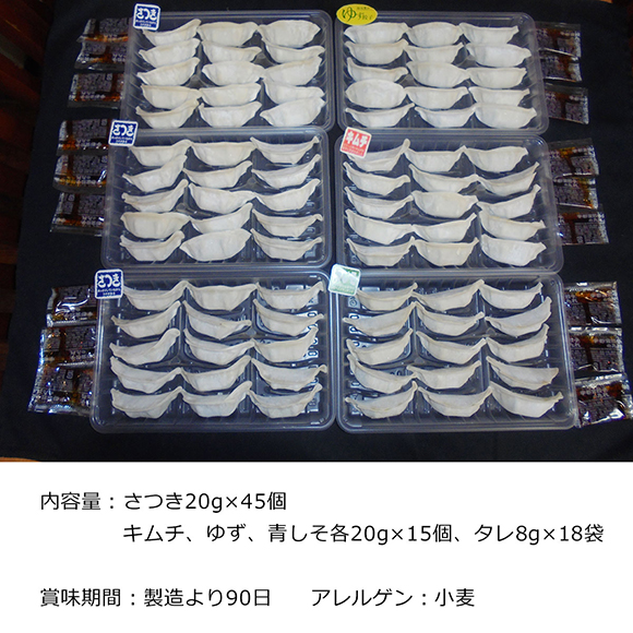 栃木 宇都宮餃子「さつき」セット