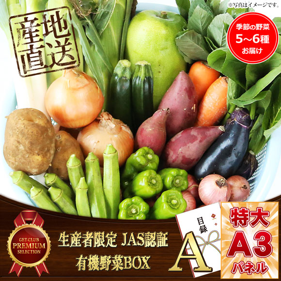 生産者限定 JAS認証有機野菜BOX Aセット