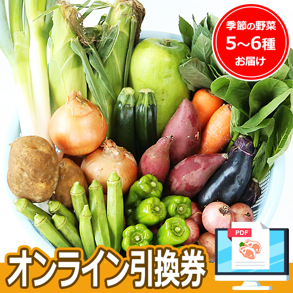 生産者限定 JAS認証有機野菜BOX Aセット