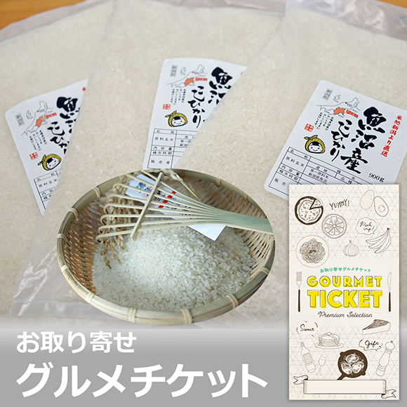 お米マイスターお勧め魚沼産こしひかり 900ｇ×3袋