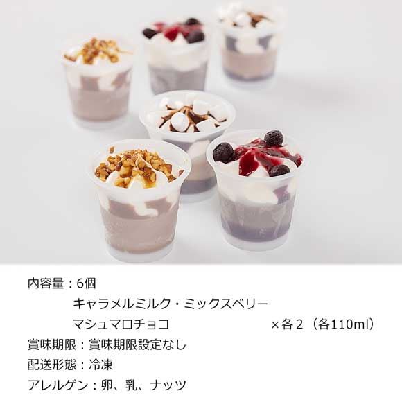 ベルギー王室御用達ガレー監修 チョコレートアイスパルフェ6個入り