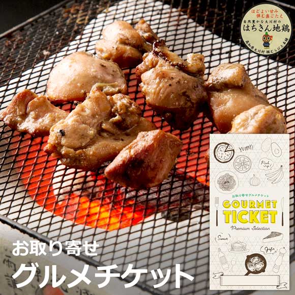土佐はちきん地鶏 モモ炭焼用500g