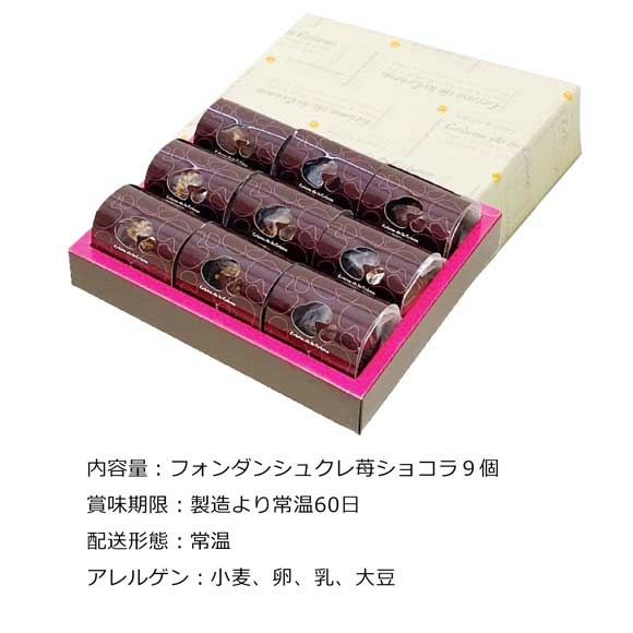 シュクレ苺ショコラ9個