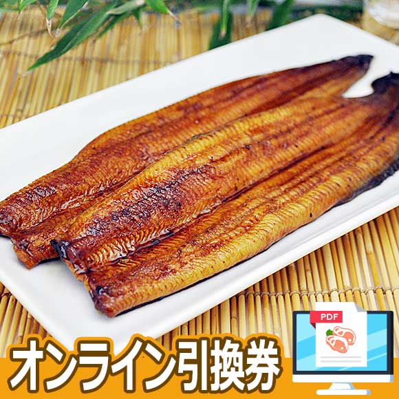 高知県産 うなぎ蒲焼2尾
