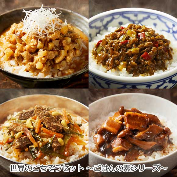 世界のごちそうセット～ごはんの素シリーズ～