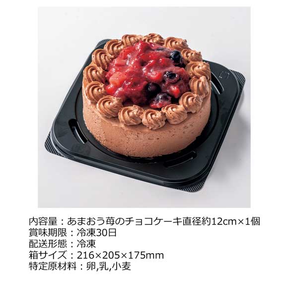 あまおう苺のチョコケーキ