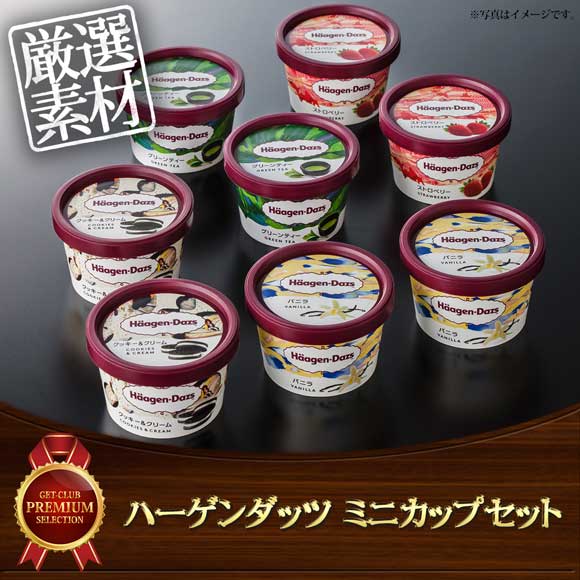 ハーゲンダッツ ミニカップセット