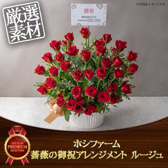 ホシファーム 薔薇の御祝アレンジメント ルージュ