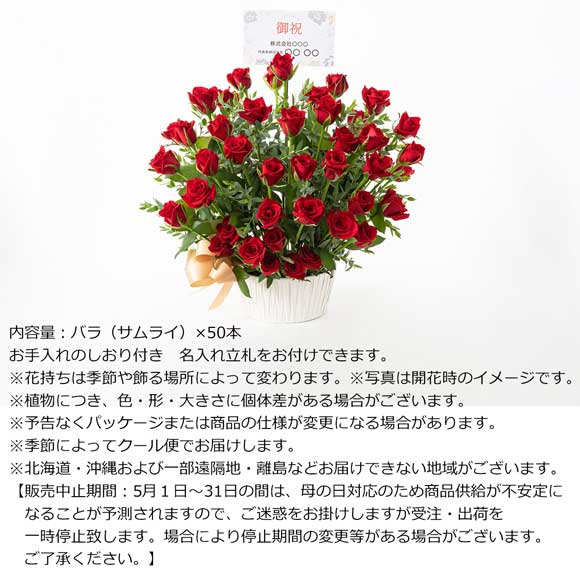 ホシファーム 薔薇の御祝アレンジメント ルージュ