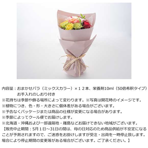 ホシファーム フリルブーケ カラフル
