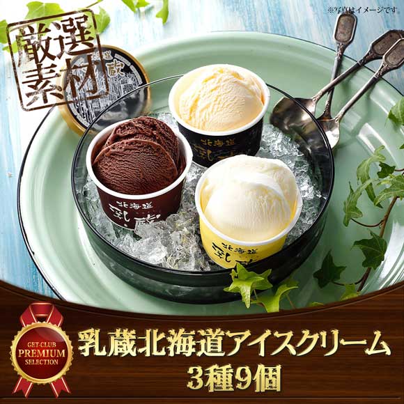 乳蔵北海道アイスクリーム3種9個