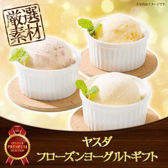 ヤスダ フローズンヨーグルトギフト