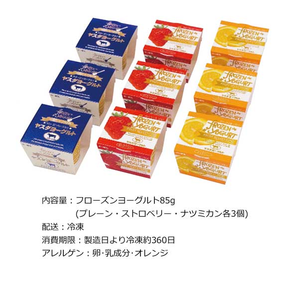 ヤスダ フローズンヨーグルトギフト