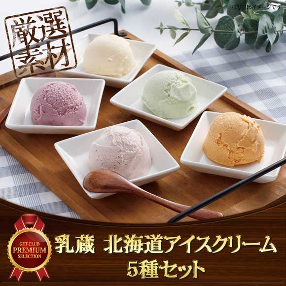 乳蔵 北海道アイスクリーム5種セット
