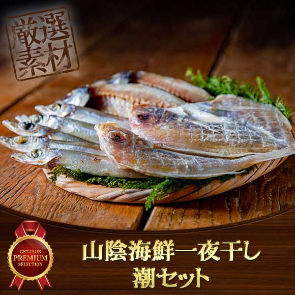 山陰海鮮一夜干し 潮セット