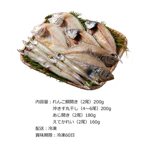 山陰海鮮一夜干し 潮セット