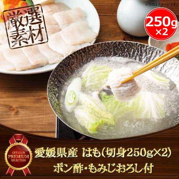 愛媛県産 はも（切身250g×2）ポン酢・もみじおろし付