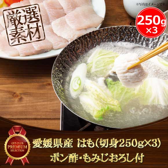 愛媛県産 はも（切身250g×3）ポン酢・もみじおろし付