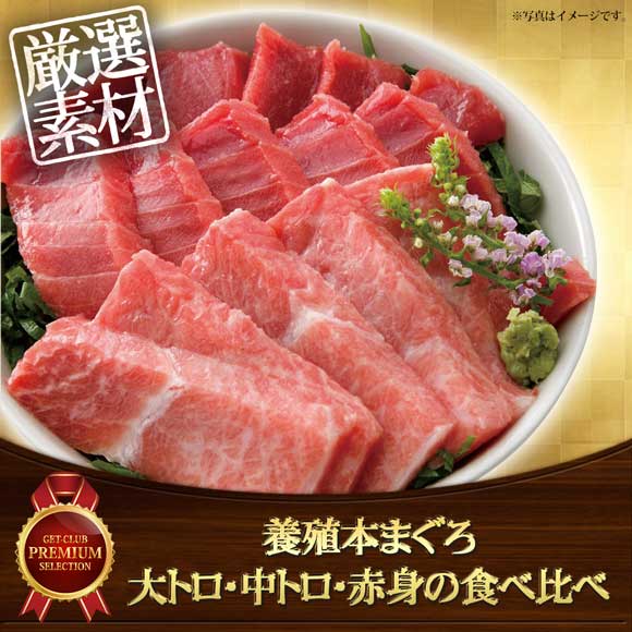 養殖本まぐろ大トロ・中トロ・赤身の食べ比べ