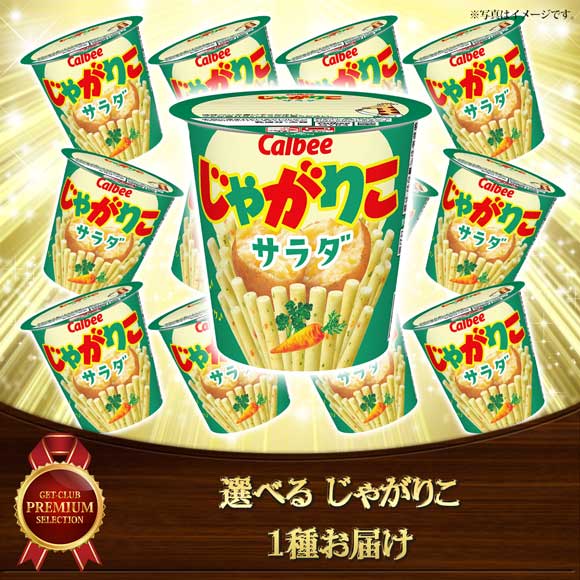 選べる カルビー じゃがりこ 1種お届け（4種から1種セレクト）