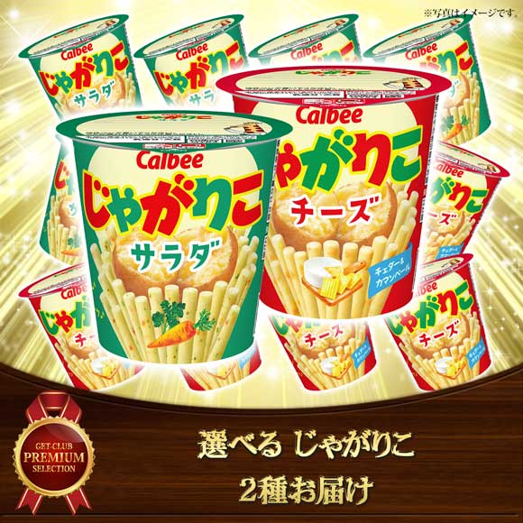 選べる カルビー じゃがりこ 2種お届け