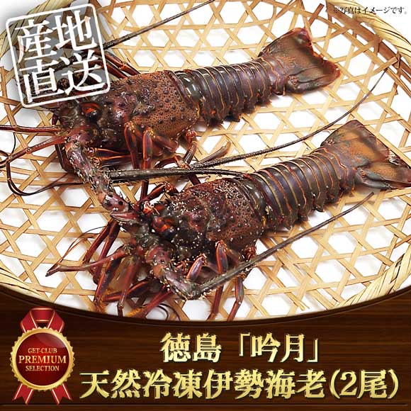 徳島 「吟月」天然冷凍伊勢海老（２尾）