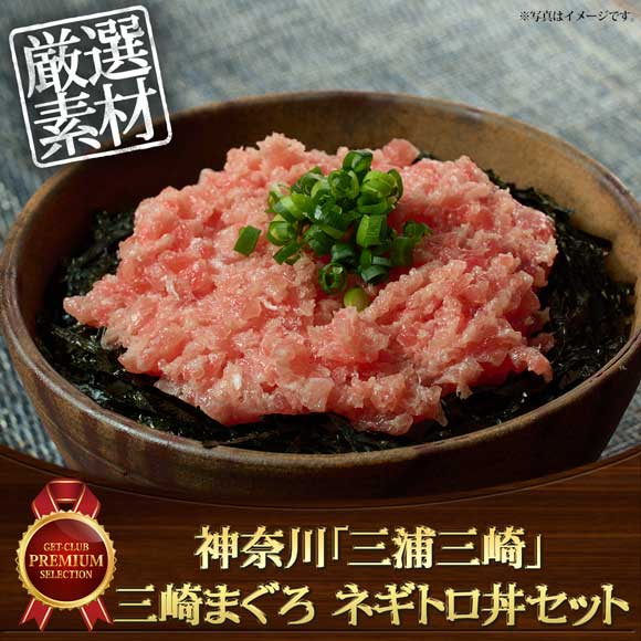 神奈川「三浦三崎」三崎まぐろ ネギトロ丼セット