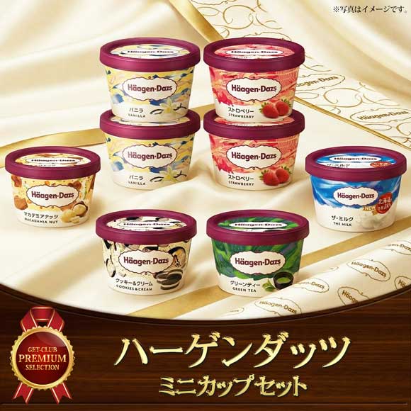 ハーゲンダッツ ミニカップセット