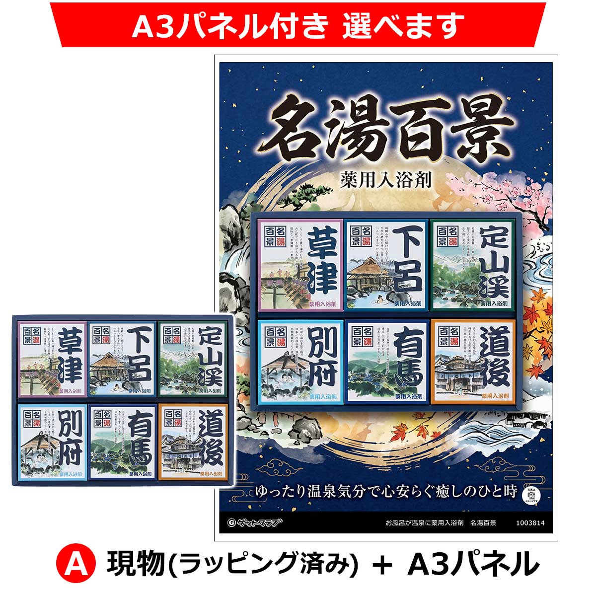 A:現物(ラッピング済み)+A3パネル
