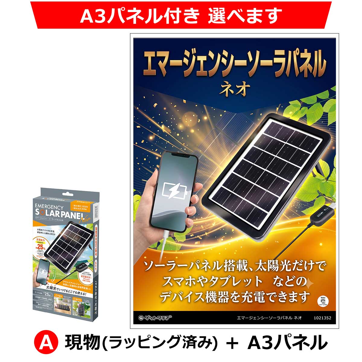 A:現物(ラッピング済み)+A3パネル