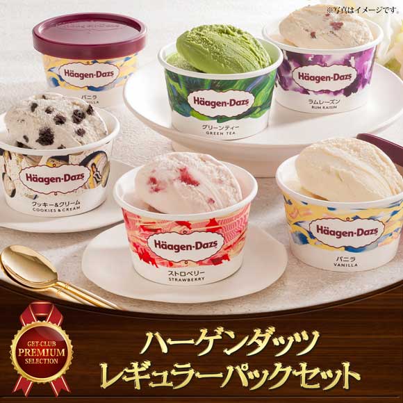 ハーゲンダッツ レギュラーパックセット
