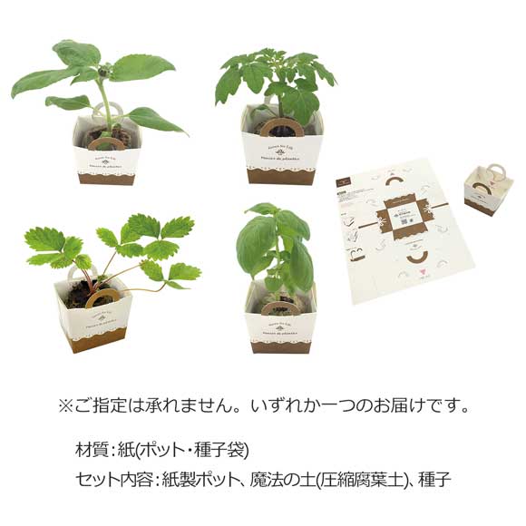 自分で組み立て栽培ポット
