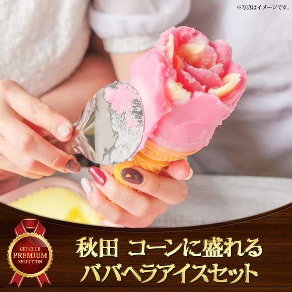 秋田 コーンに盛れるババヘラアイスセット【目録引換券】